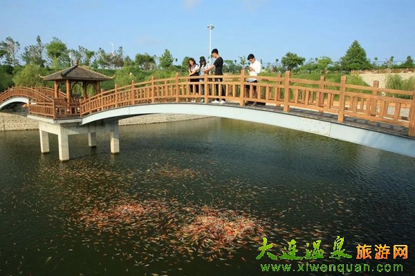 龍德李生態園采摘游